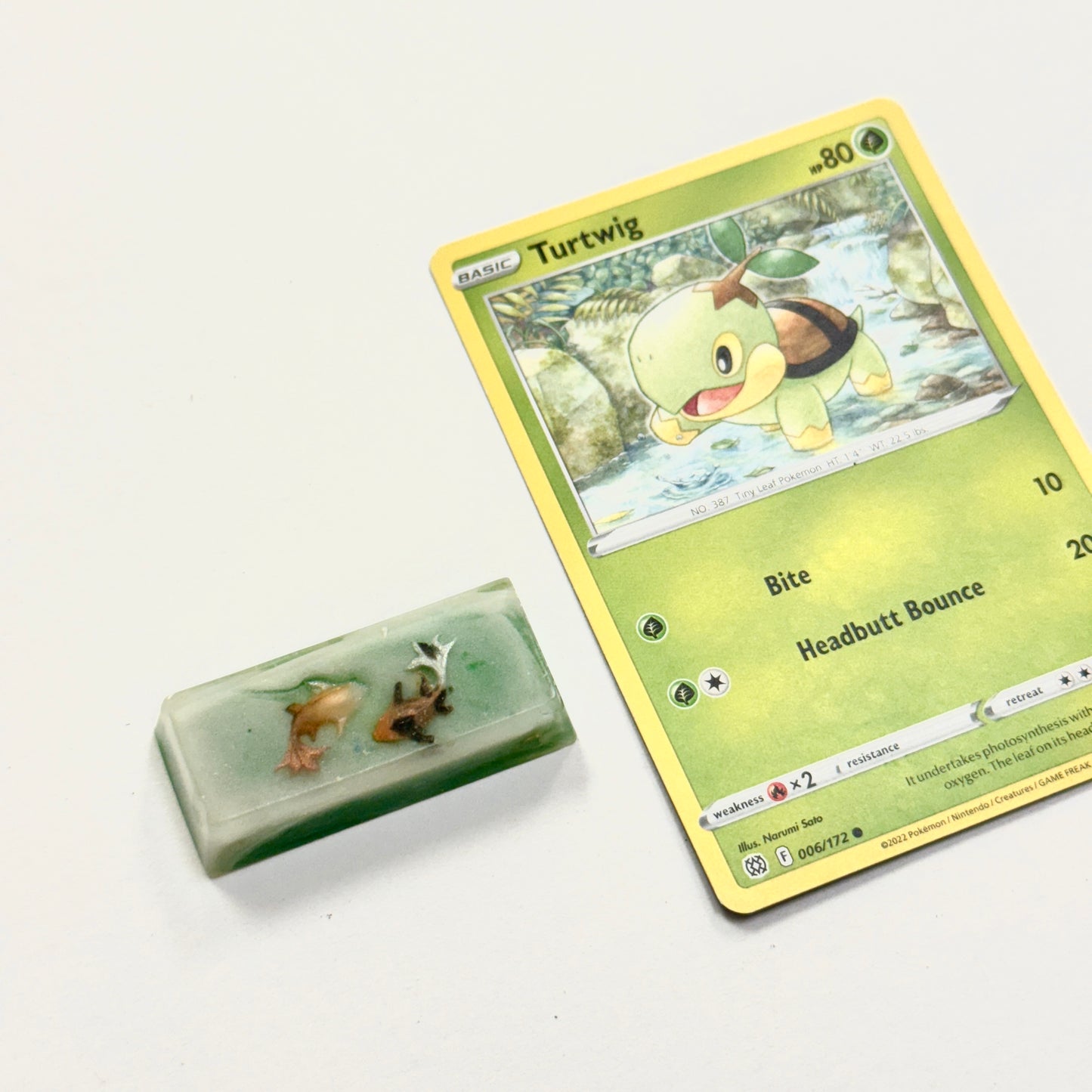 Turtwig - Shift Key